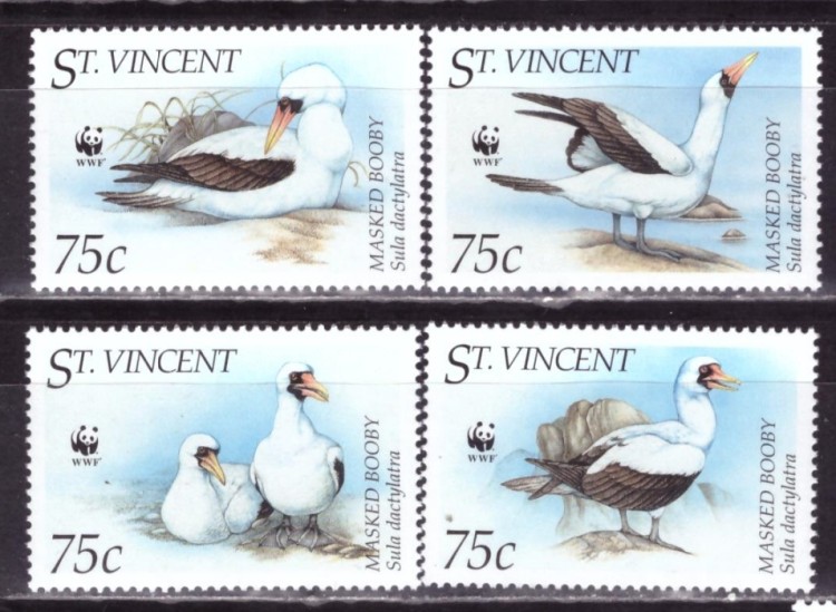 Сент-Винсент Гренадины, 2009. Птицы