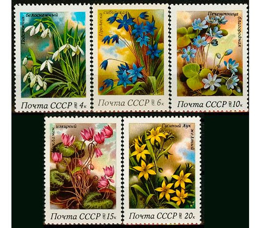 СССР, 1983. (5398-02) Цветы