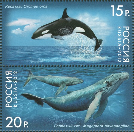 Россия, 2012. (1556-1557) Фауна, киты