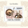 Коморские о-ва, 2010. (10101) Окаменелости (мл+блок) 