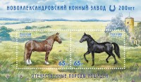 Россия, 2025. (3463-64) Отечественные породы лошадей