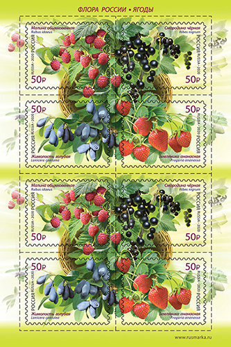 Россия, 2020. (2585-88) Флора России. Ягоды (лист)