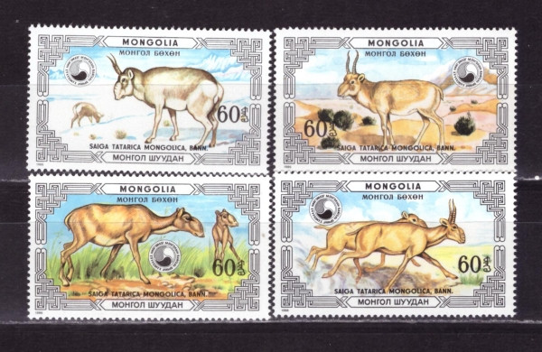 Монголия, 1986. Фауна, сайгаки 