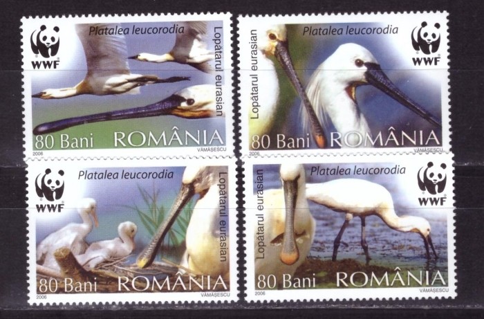 Румыния, 2006. Птицы