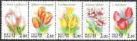 Россия, 2001. (0657-61) Тюльпаны (сцепка)
