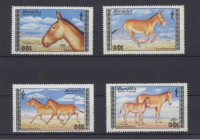 Монголия, 1988. Фауна, куланы