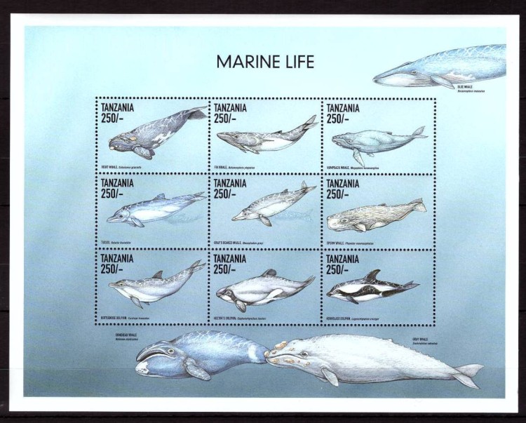 Танзания, 1999. Морская фауна (мл) (02)