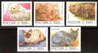Россия, 1996. (0266-70) Кошки