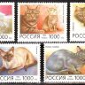 Россия, 1996. (0266-70) Кошки
