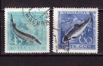 СССР, 1959. [2331-32] Рыбы (cto)