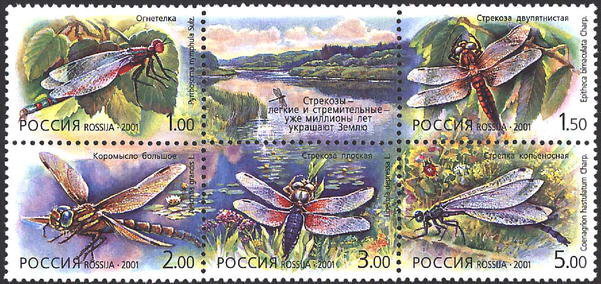 Россия, 2001. (0671-75) Стрекозы