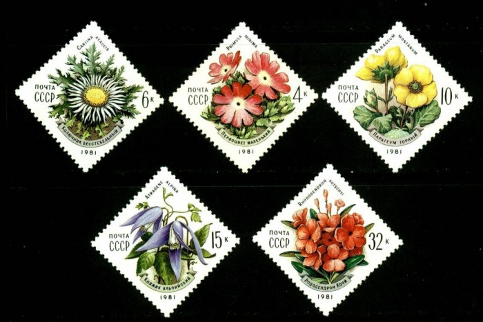 СССР, 1981. ( 5192-96) Цветы Карпат