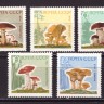 СССР, 1964. (3123-27) Грибы