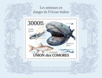 Коморские о-ва, 2010. (10108) Морская фауна Индийского океана (мл+блок) 