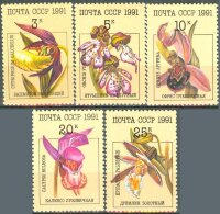 СССР, 1991. (6315-19) Орхидеи