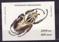Мадагаскар, 1993. Насекомые, жуки (блок)