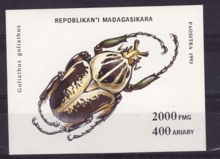Мадагаскар, 1993. Насекомые, жуки (блок)
