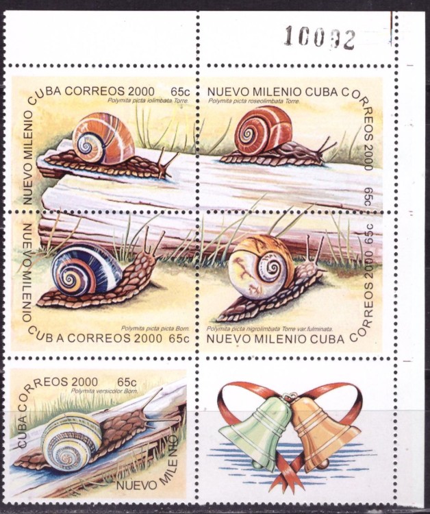 Куба, 2000. Фауна, улитки (03) 