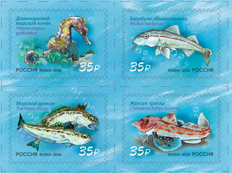 Россия, 2026. (3633-36) Фауна Черного моря