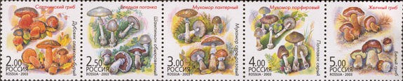 Россия, 2003. (0876-80) Флора - грибы-двойники (сцепка)