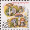 Россия, 2003. (0876-80) Флора - грибы-двойники (сцепка)
