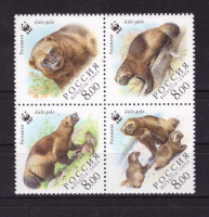Россия, 2004. (0966-69) Фауна, росомаха