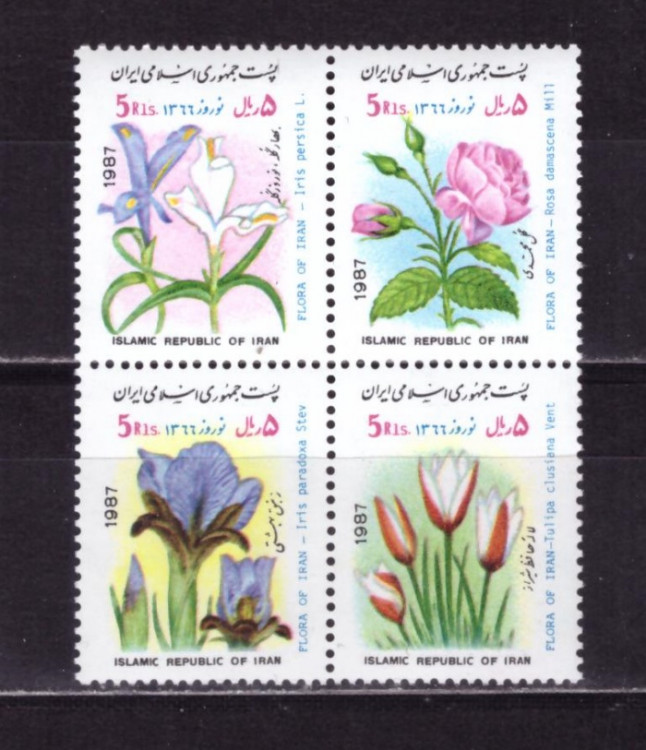Иран, 1987. Цветы