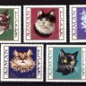 Аджман, 1971. Фауна, кошки