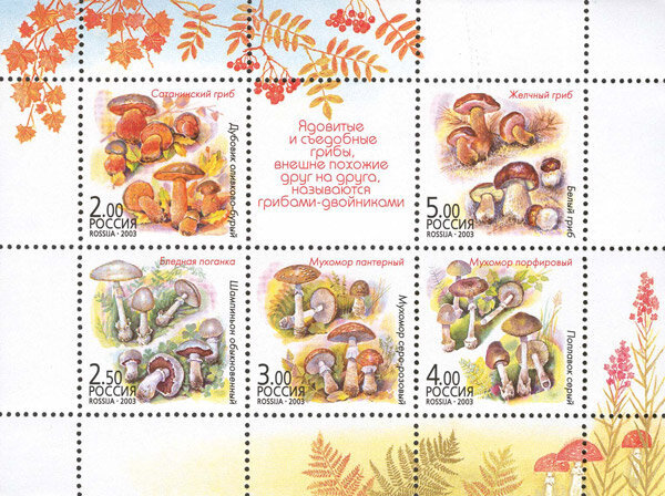 Россия, 2003. (0876-80) Флора - грибы-двойники (мл)
