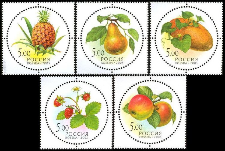 Россия, 2003. (0881-85) Фрукты