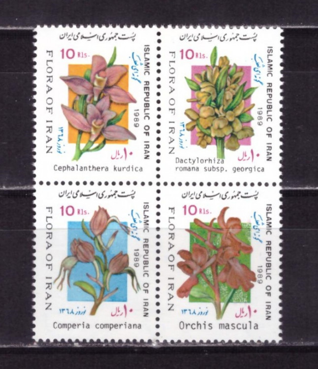 Иран, 1989. Цветы