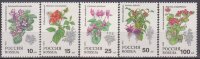 Россия, 1993. (0077-81) Цветы