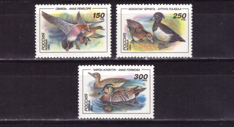 Россия, 1995. (0242-44) Утки 